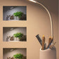 Study Table With Pen Holder